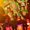 carnaval_11