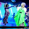 discodrag_11