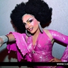 discodrag_19