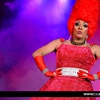 discodrag_38